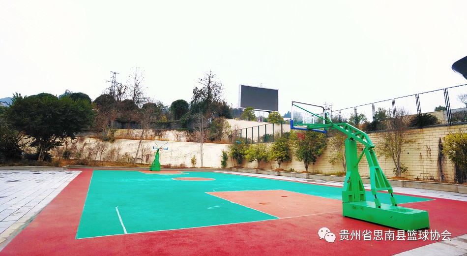 为什么篮球教练的经验对球员发展至关重要_1